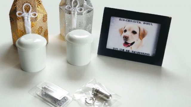 ペットメモリーポラリス