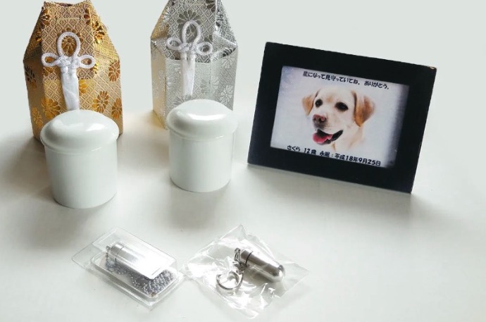 ペットメモリーポラリス