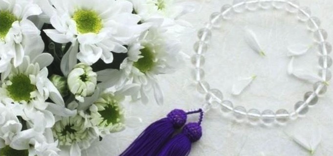 ペットセレモニーウェイビー 西東京支店