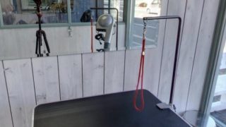 トリミングスタジオ Coco Wan (ココワン)