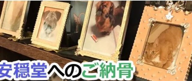 大阪ペット斎場