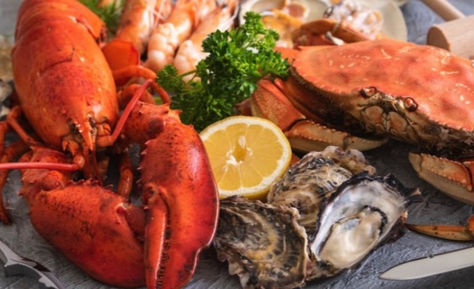 Mt. Cafe SOL / マウントカフェ・ソル